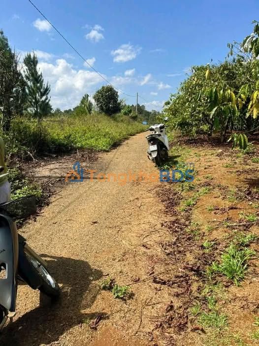 Đất nền 1142m² Lộc An, Bảo Lâm - Mặt tiền nhựa, view sông, giá 400 triệu