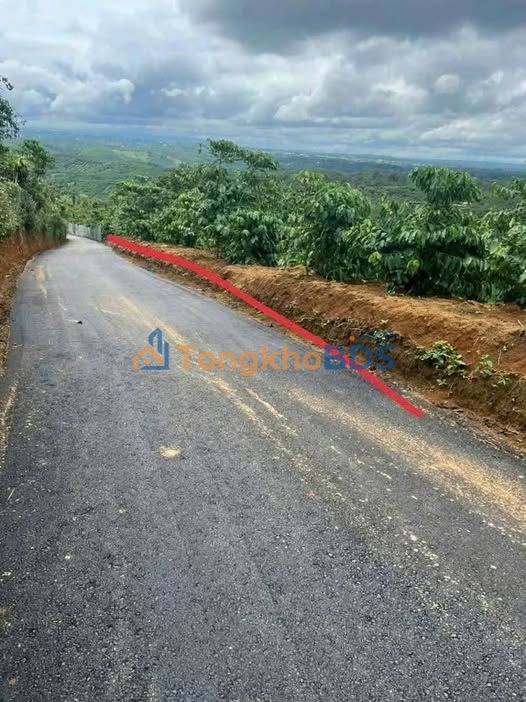 Đất Vườn Cafe 2600m² Thôn 1 Tân Lạc - Sổ Đỏ Thổ Cư, Giá 1.35 Tỷ