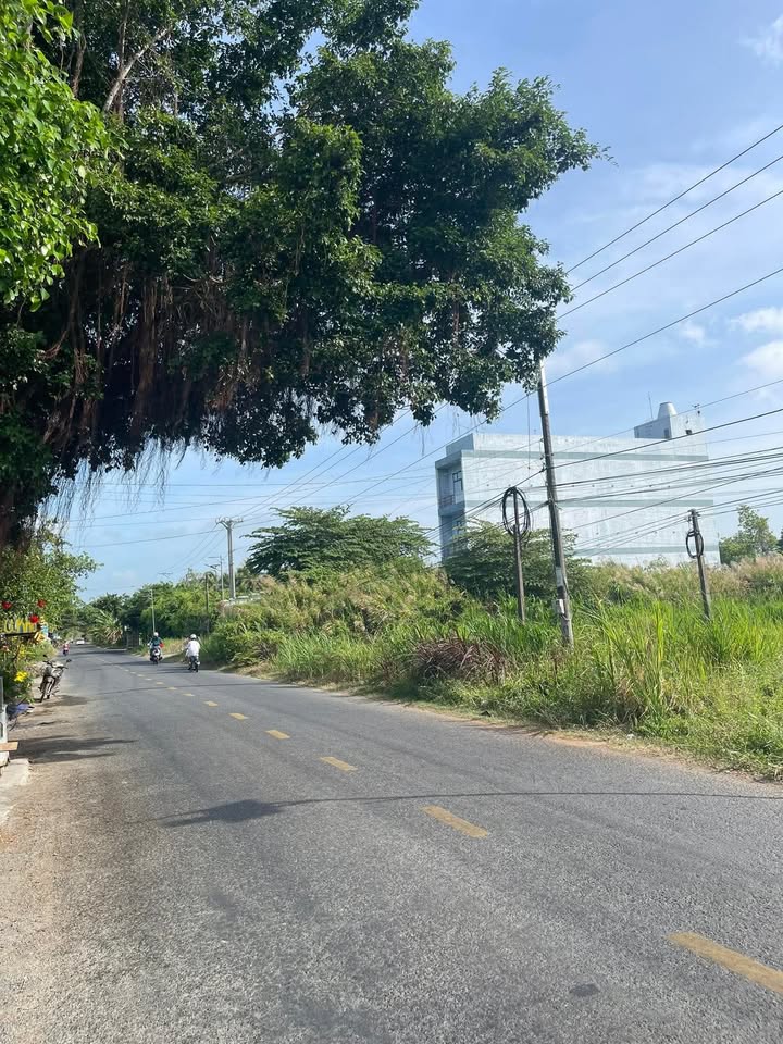 Bán Đất Tặng Nhà Mặt Tiền 911, Trà Vinh - 324m² Kinh Doanh Đắc Lộc