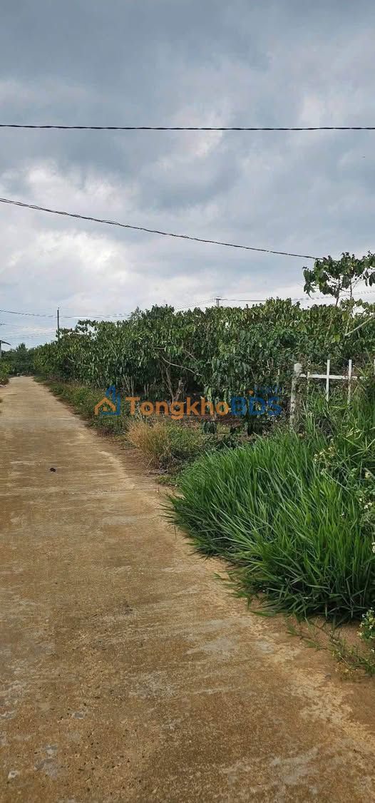 Đất nền Lộc Nga QL20 3.217m² giá 6.6 tỷ - Sổ đỏ chính chủ