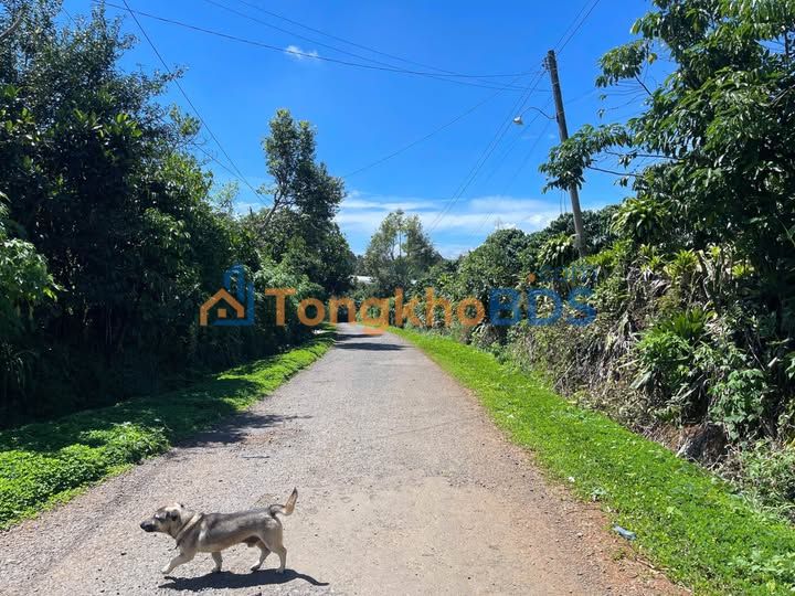 Đất vườn Lộc An 1.8 tỷ 1140m² - Nghỉ dưỡng lý tưởng