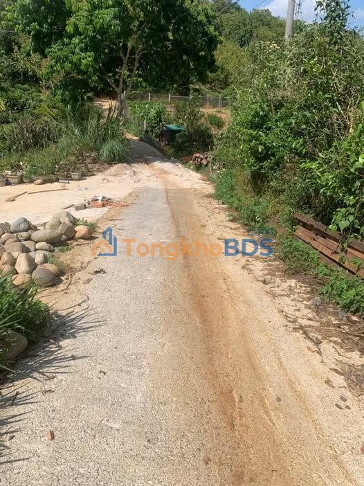 Đất thổ cư TL8 Bảo Lộc 200m² 370tr - Đất thổ cư 100%