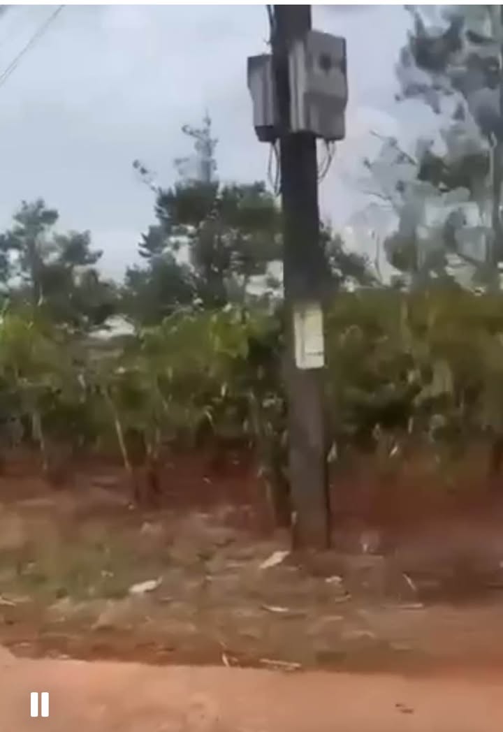 Đất Nền Glar FLc Gia Lai - Sỉ 5 Lô Giá 290 Triệu/Lô