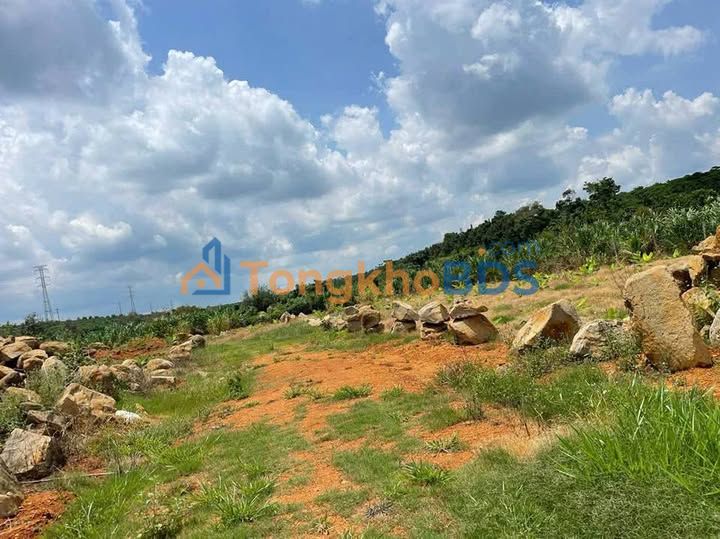 Đất nông nghiệp Lộc Thanh 4170m² 2.2 tỷ - Tiềm năng tăng giá