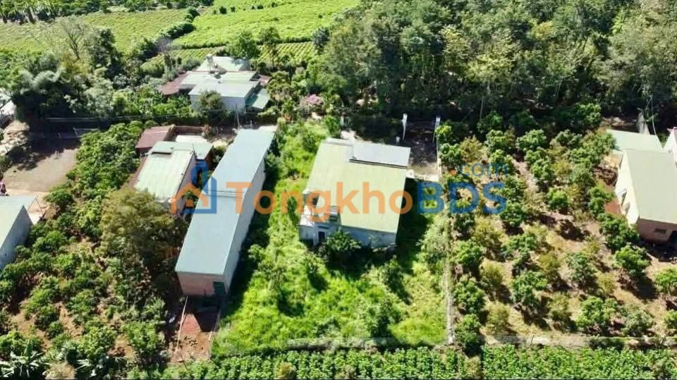 Nhà riêng Phường 2 Bảo Lộc 1027m² 2.9 tỷ - Sẵn sàng ở ngay