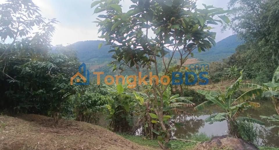 Đất vườn Lộc Nam Bảo Lâm 1.152m² 1,05 tỷ - Sinh thái xanh