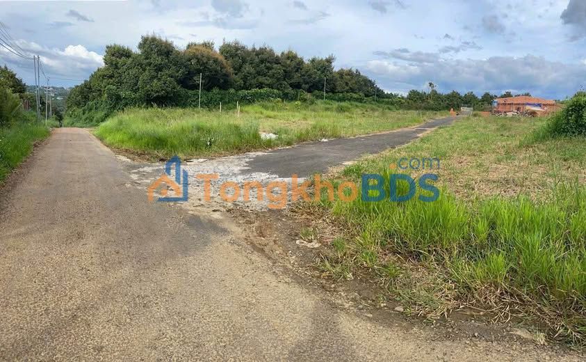 Đất nền Chi Lăng Bảo Lộc 330m² 1,6 tỷ - Sổ đỏ chính chủ