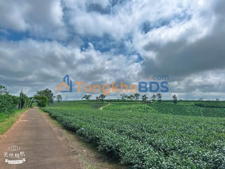 Đất nền Tiền Yên Lộc Đức 1.080m² 950 triệu - Sổ đỏ