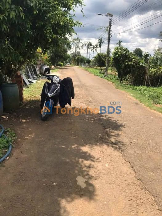 Đất Lộc An - Bảo Lâm 100m² Thổ Cư 100% - Sổ Hồng Sẵn Sàng - 850 Triệu