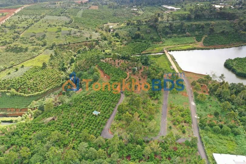 Đất Vườn 308m² View Hồ Blao, TP Bảo Lộc - 2.5 Tỷ