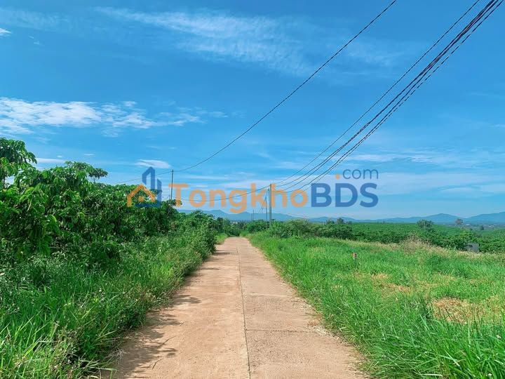 Bán Đất Vườn 600m² Mặt Tiền 10m tại Bảo Lộc, Lâm Đồng - Giá 1.25 Tỷ