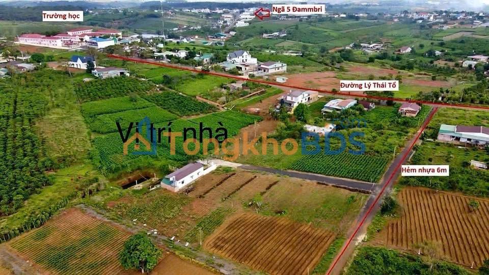 Đất Vườn Nghỉ Dưỡng Lý Thái Tổ, Bảo Lộc - 500m² Sẵn Sàng Xây Tổ Ấm