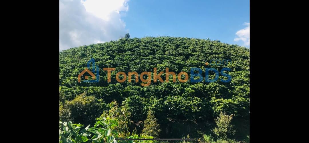 Bán Gấp Farmview 4000m² Lộc Nam, Lâm Đồng - Sổ Hồng Sẵn Sàng