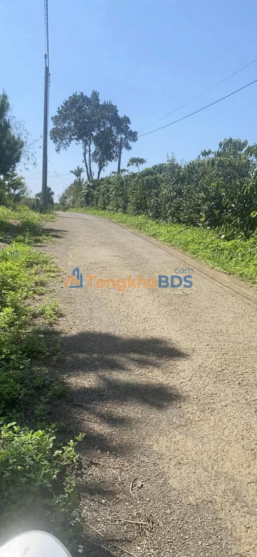 Đất Nền 120m² Tây Sơn, Lộc An - Sổ Hồng Thổ Cư Giá 380 Triệu