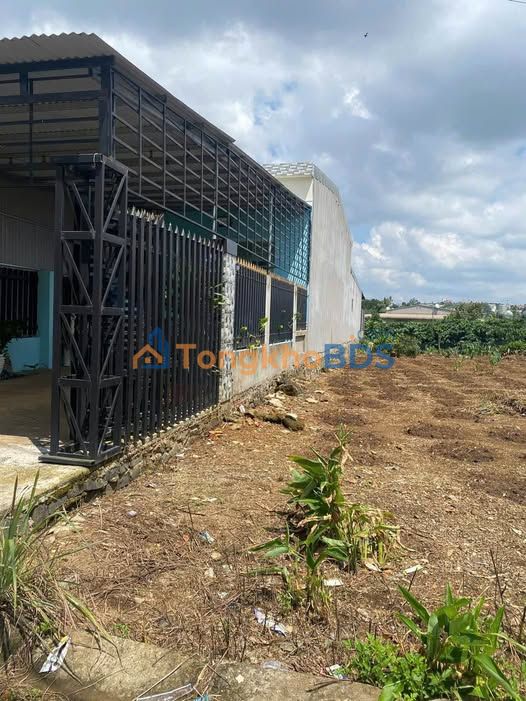 Đất Mặt Tiền Trương Định, Bảo Lâm - 343m² Thổ Cư, Kinh Doanh Sầm Uất