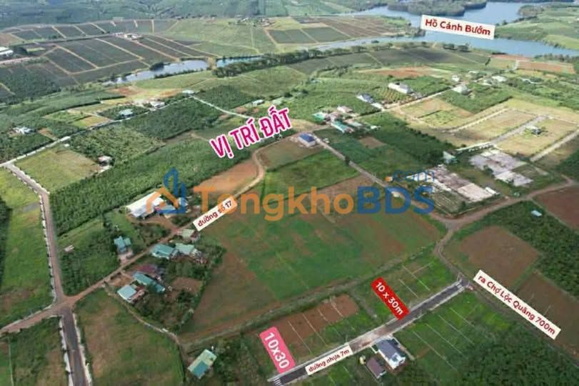 Đất Nền Lộc Quảng, Bảo Lâm - 140m² Full Thổ Cư, Giá Chỉ 450 Triệu