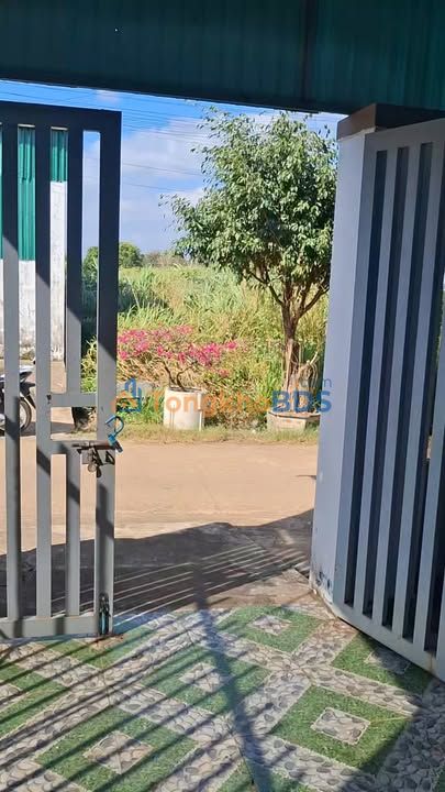 Farm Cư Kuin, Đắk Lắk 120m² Nở Hậu - Sổ Chung Giá 850 Triệu