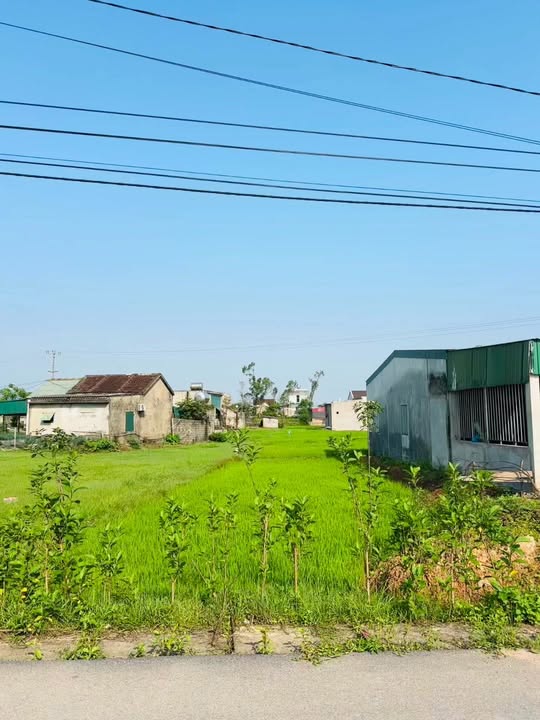 Bán Đất TDP Đồ Gỗ, Kỳ Thịnh - 240m² Đất Ở, Vị Trí Đắc Địa