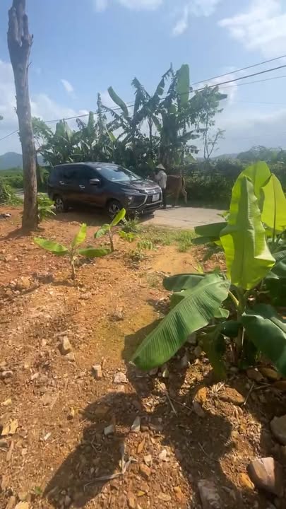 Bán đất Hương Sơn, Hà Tĩnh 342m² nở hậu, thổ cư 300m² - Giá tốt