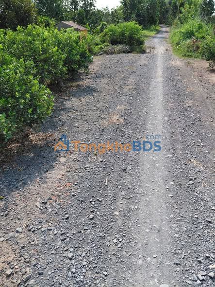 Đất Vườn Đồng Tháp 10.000m² Giá 3.7 Tỷ - Tặng Kèm Nhà & Nội Thất