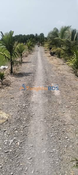 Cho thuê đất Farm 7200m² mặt tiền 60m tại Hồng Ngự, Đồng Tháp - Giá 120 triệu/15 năm