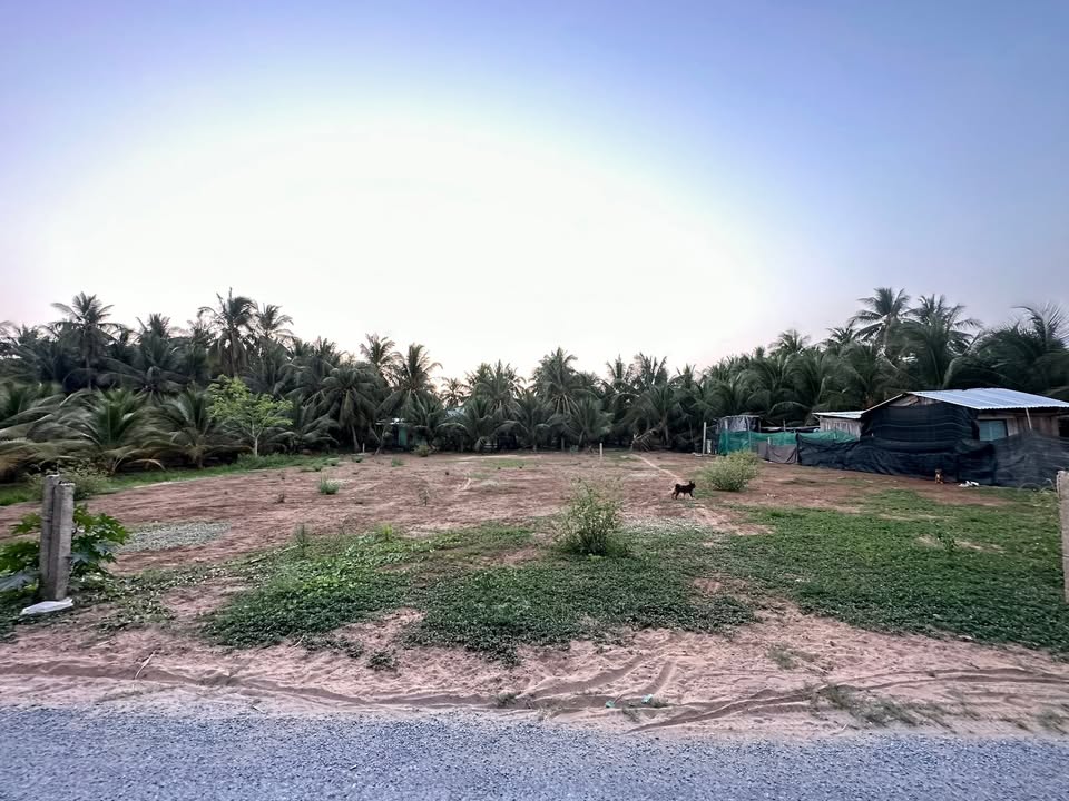 Đất nền Chợ Gạo, Tiền Giang 374m² - Sổ Thổ Cư, Giá 750 Triệu/Lô