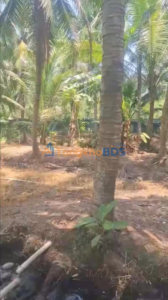 Đất Nền Ấp Nam, Châu Thành, Tiền Giang - 340m² Sổ Hồng Riêng, Giá 395 Triệu