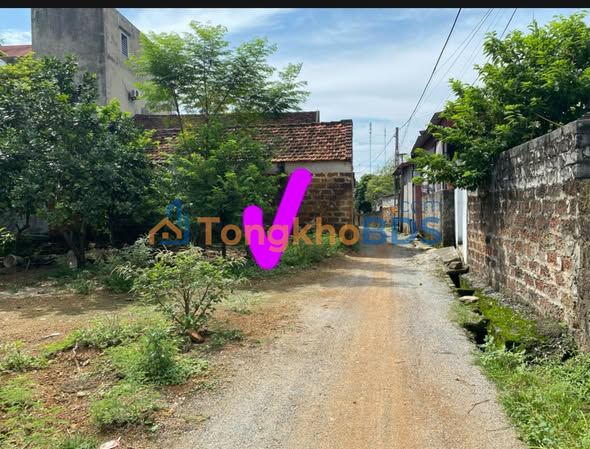 Bán gấp đất 175m² Trần Phú, Chương Mỹ, Hà Nội - Giá tốt đầu năm