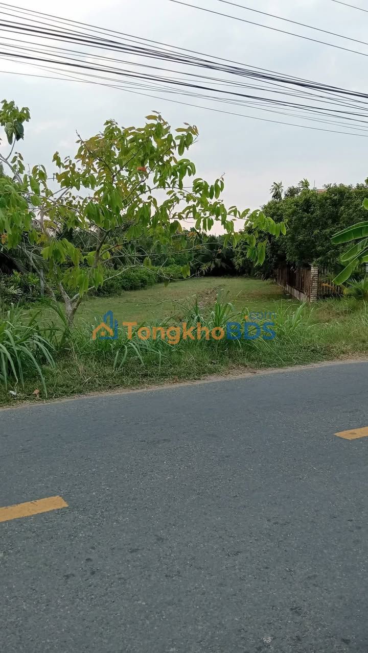 Đất nền mặt tiền 1330m² Quốc Lộ 57B, Châu Hưng, Bình Đại - Giá 1.19 tỷ