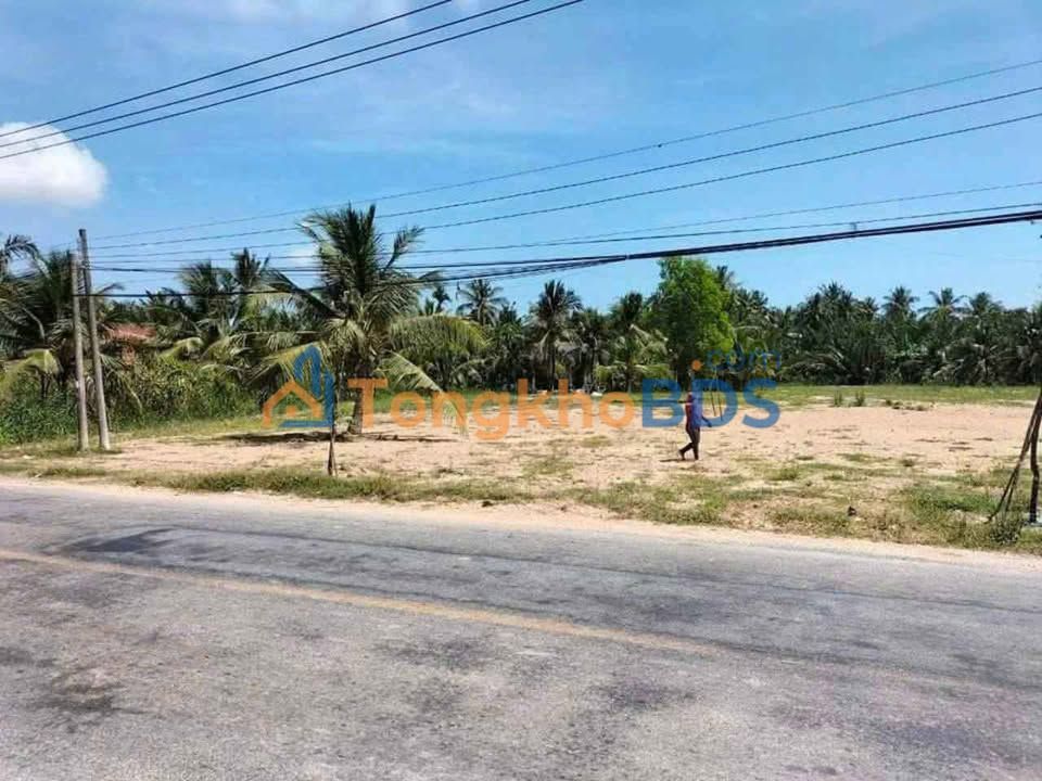 Bán Gấp 2 Thửa Đất MT TL883, Giồng Trôm, Bến Tre - 4078m² Giá Tốt