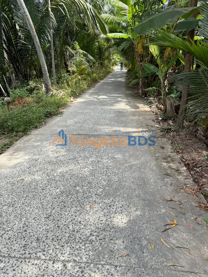 Bán Đất Mặt Tiền Lộ Đan Lộc Thuận Bến Tre - 514m² Giá 400 Triệu