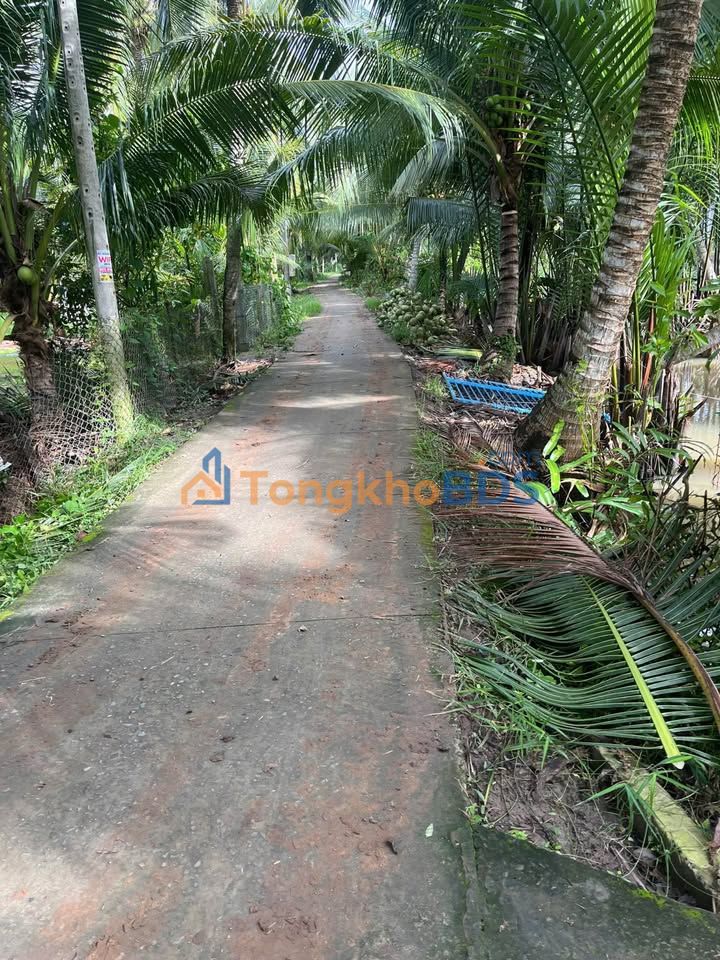 Bán Đất Vườn Dừa 2474m² Có Nhà Cấp 4 - Giồng Trôm, Bến Tre