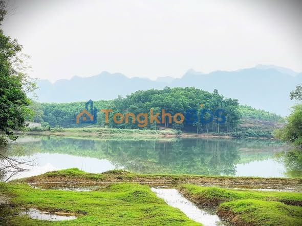 Bán Đất Vườn Yên Trị 949m² - 3 Mặt Tiền View Hồ, Giá 2.2 Tỷ