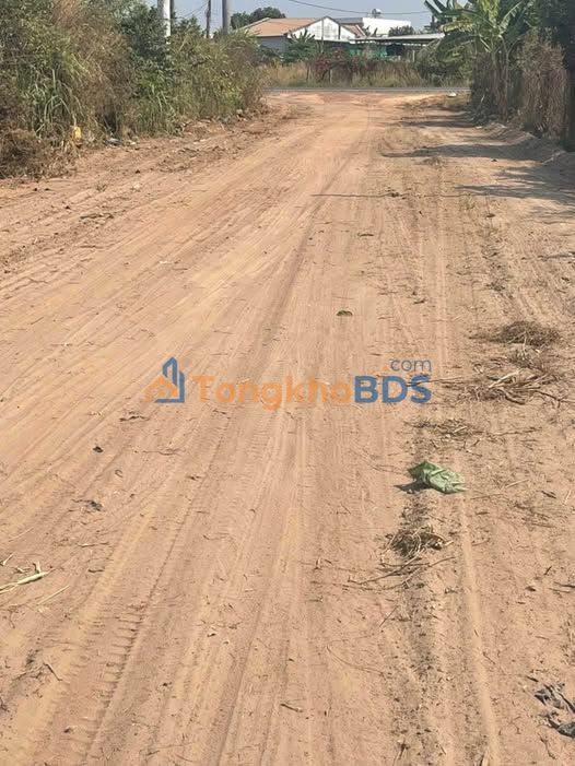 Đất nền Đức Hòa Trường Đông 275m²/35.475 tỷ - Đường to ô tô