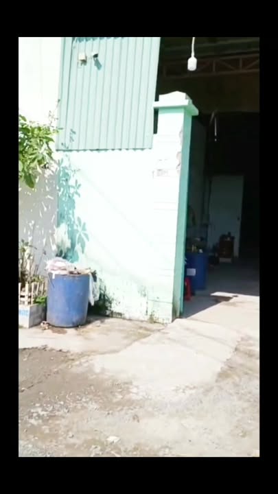 Cho thuê kho xưởng 700m² Đức Hòa, Long An - Sẵn SX, Xe Cont