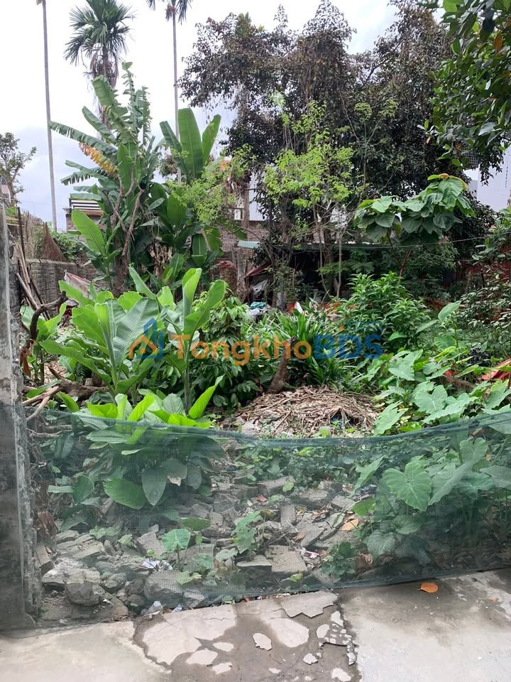 Bán đất An Đồng, Hải Phòng 90m² - Ngõ ô tô, giá gần 3 tỷ