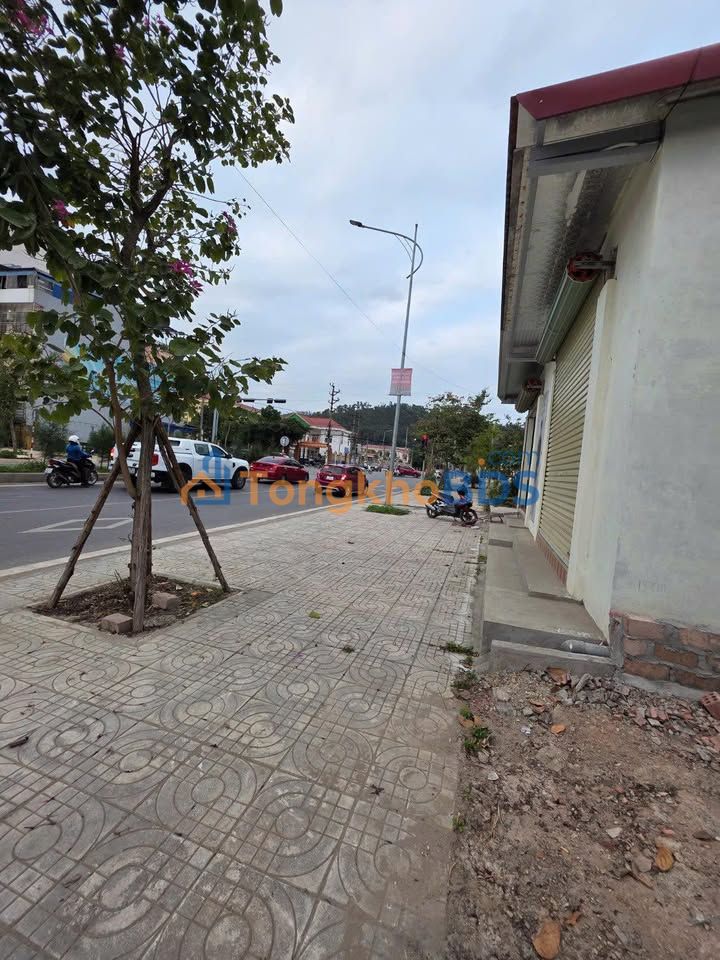 Nhà Mặt Tiền Kinh Doanh Bao Nam Thủy Sơn, Ngô Quyền - 52m² - Giá Thỏa Thuận