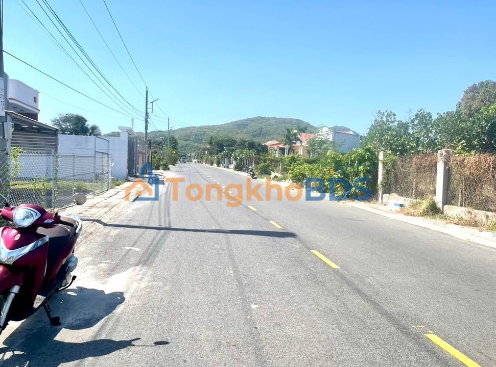 Đất nền Tam An 295m² - Mặt tiền nhựa rộng, giá chỉ từ 1.5 tỷ