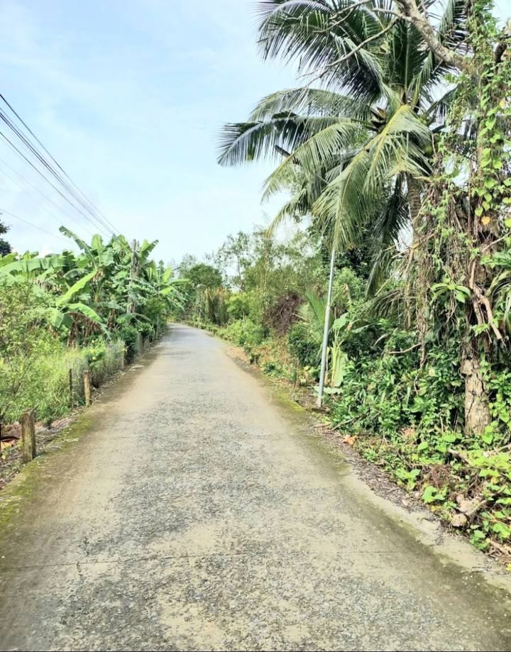 Đất Thổ Cư Nhơn Nghĩa, Phong Điền 96m² - Giá 620 Triệu, Sổ Hồng Sẵn