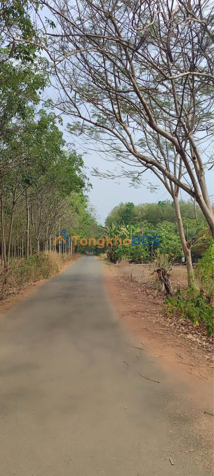 Bán Đất Vườn 6000m² Mặt Tiền Đường Nhựa Nha Bích - Chơn Thành - Giá 1.4 Tỷ