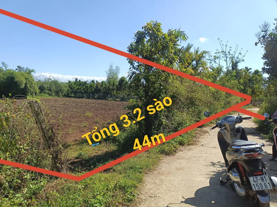Đất Nền Đắk Lắk 19200m² - Sổ Đỏ CLN, Đường Bê Tông 44x57m