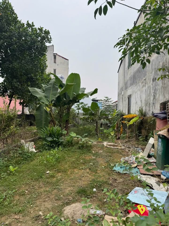 Đất Nền Nguyễn Khắc Nhu, Yên Bái - 100m² Sổ Đỏ Full Thổ Cư, Giá Tốt