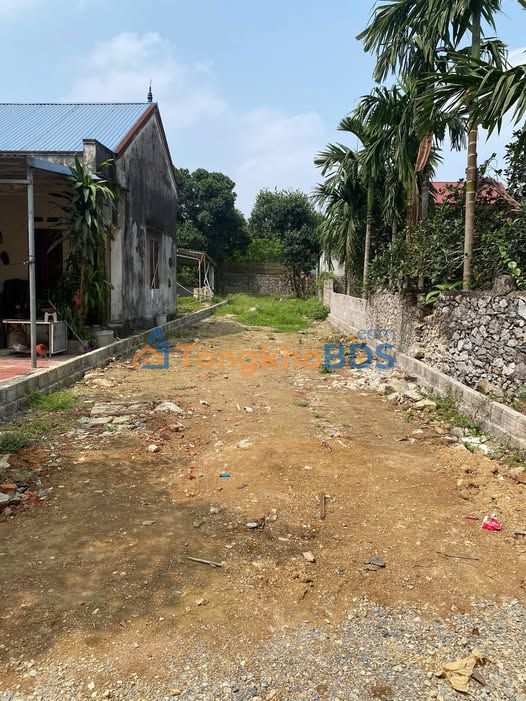 Bán Đất Thị Trấn Ba Hàng Đồi 205m² Giá 8xx Triệu - Sổ Đỏ Full Thổ Cư