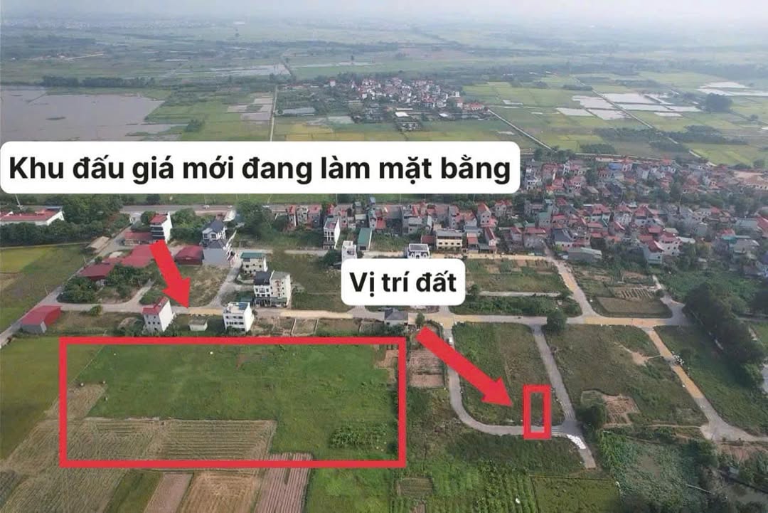 Đất đấu giá Ngọc Tảo 110m² - Sổ đỏ sẵn sàng, giá đầu tư tốt