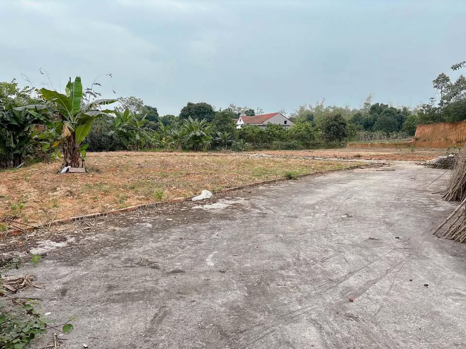 Đất thổ cư 100m² giá 5xx triệu, gần chợ Tiên Kiên, Phú Thọ