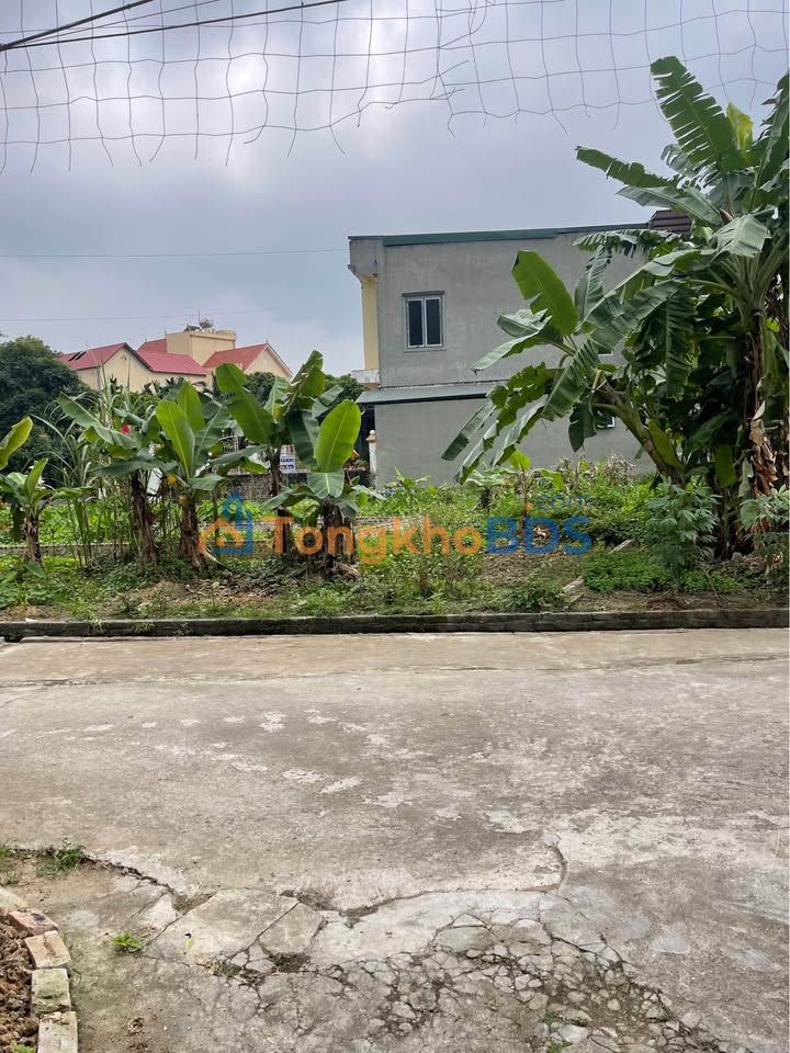 Bán Đất Làng Đông Hương, Lương Tài - 89.5m² - Giá 2 Tỷ, Đường Ô Tô