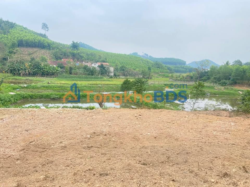 Đất nền Yên Thế Bắc Ninh 2000m² - View đồng, sổ đỏ chính chủ