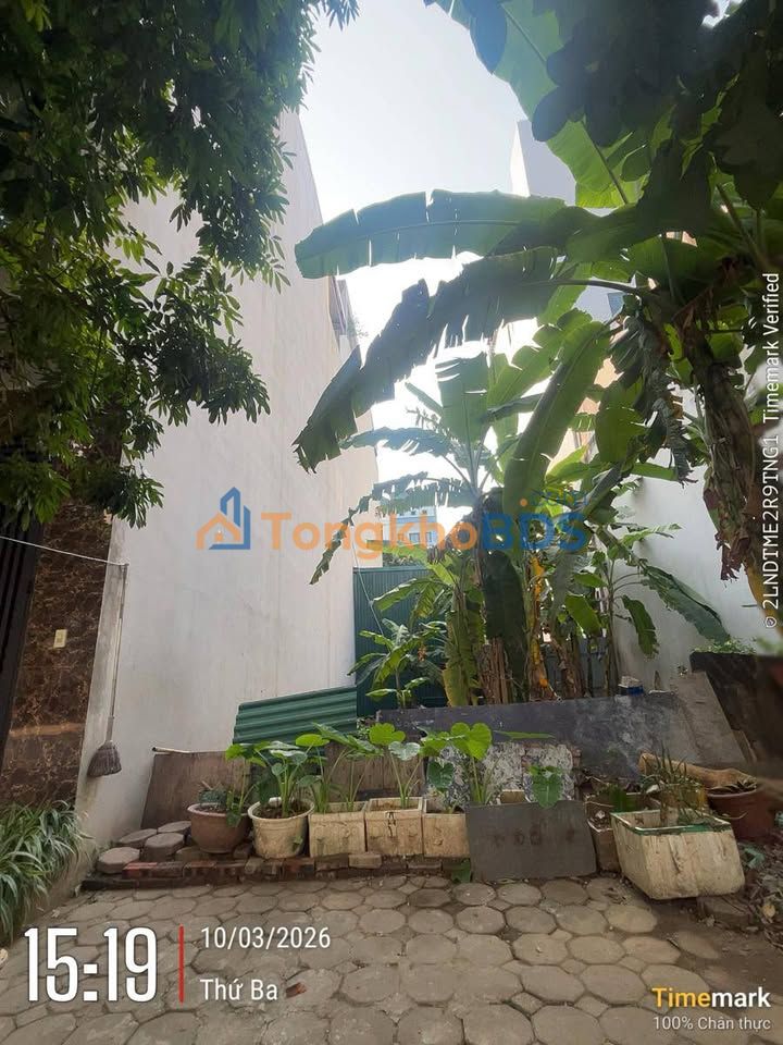 Đất Dịch Vụ Hàng Bè Hà Đông 200m² - Kinh Doanh Đỉnh Cao, Sổ Đỏ Vuông Vắn