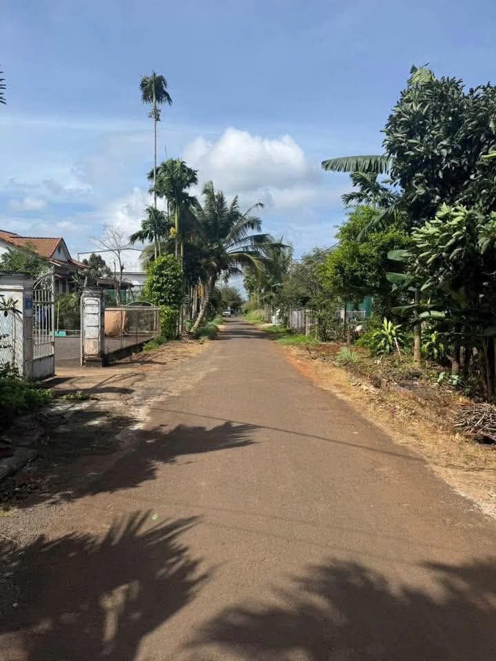 Bán Đất Thổ Cư 460m² Buôn Ma Thuột - Sẵn Sổ, Giá Tốt