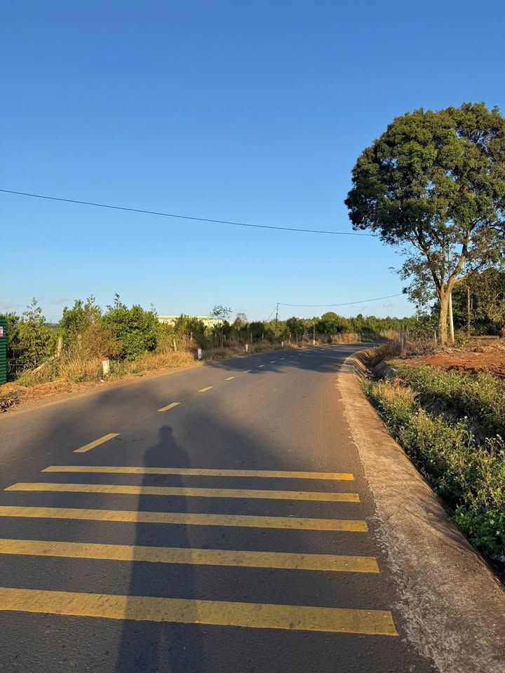 Bán Đất Vườn Đắk Lắk 25.000m² - Mặt Tiền 195m Đường Nhựa Lớn